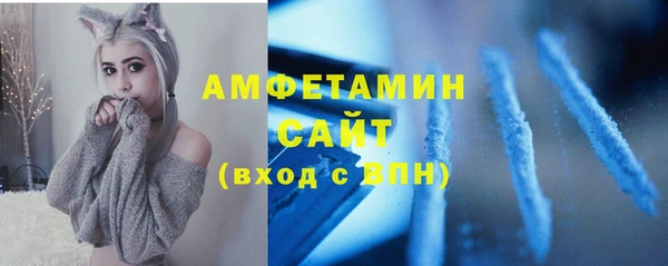 ПСИЛОЦИБИНОВЫЕ ГРИБЫ Богданович