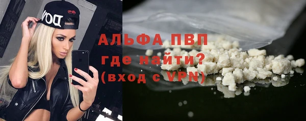 ПСИЛОЦИБИНОВЫЕ ГРИБЫ Богданович