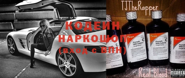 ПСИЛОЦИБИНОВЫЕ ГРИБЫ Богданович