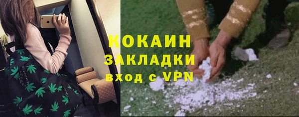 индика Балахна