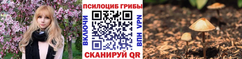 Псилоцибиновые грибы Psilocybe  дарнет шоп  Мамадыш 